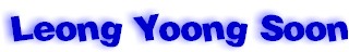 lysoon1.jpg (7295 bytes)
