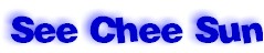 scs1.jpg (5590 bytes)