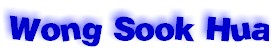 wsh1.jpg (6432 bytes)